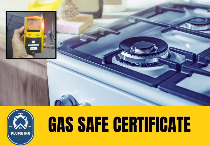 gas safe certificate West Malling