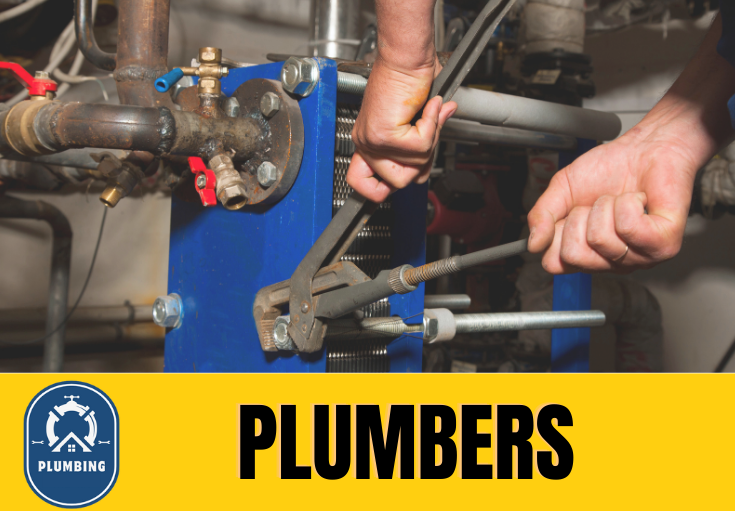  plumber Leybourne